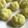 ててくっく's cooksnap of when they made 簡単手作りおやつ さつまいもの茶巾絞り♪.