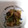クック22R4QK☆'s cooksnap of when they made ブリと長ねぎの照り炒め.