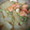八百屋の女将's cooksnap of when they made 夏☆冷やしてもおいしい♪冬瓜とエビの煮物.