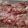ひっこ's cooksnap of when they made バラ肉･こま切れ肉などの冷凍保存.