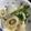 クックZFP56I☆'s cooksnap of when they made 酢味噌の作り方.