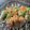 クックG1CG0C☆'s cooksnap of when they made 余った食材で！簡単生春巻き.