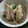 かよわた's cooksnap of when they made もやしとハムとピーマンの炒めもの.