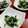 ルぴあ's cooksnap of when they made わかめとしらすの酢の物♪.