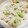 苺うさぎ666's cooksnap of when they made 枝豆としらす♡♥炊き込みご飯.