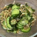ましゅまろ☆まん's cooksnap of when they made 鱧皮の酢の物.