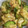 クックQ51Z5P☆'s cooksnap of when they made きゅうりと油揚げの中華風味噌炒め.