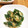 Ｅｍｉｙ's cooksnap of when they made オクラのゴマ和え♡ゴマ味噌和え♪.