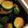 クックKUEVIS☆'s cooksnap of when they made 【オジー自慢の】自家製きゅうりのQちゃん.