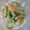 ねこはがき's cooksnap of when they made 切り干し大根ときゅうりの酢の物.