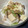 cco83901's cooksnap of when they made お豆腐と油揚げのすき焼き風どんぶり.