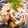 クック219VGU☆'s cooksnap of when they made つるつる！豚しゃぶ肉とナスのさっぱり和え.