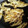 クック3OILVB☆'s cooksnap of when they made エノキの焼くだけ.