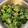 milsalud's cooksnap of when they made 5分で完成！さっぱりオクラの白だし和え.