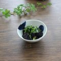 まろんかふぇ's cooksnap of when they made 長なす　炒めるだけ　ソテー.