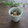 まろんかふぇ's cooksnap of when they made オクラとエノキのねばとろ.