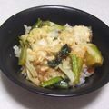 きらり流れ星's cooksnap of when they made 超楽々麻婆丼アンダー・ザ・チーズ作ります.