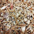 しーくれっと・らいふ's cooksnap of when they made 混ぜて混ぜて♬レンジでそば飯.