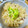 taetae♡'s cooksnap of when they made 炊飯器で簡単　たこ飯.