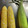 クックリックチック's cooksnap of when they made とうもろこしごはん.