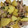 snow012's cooksnap of when they made ジャガイモと豚肉の梅しそ炒め.