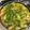 PinkyTexas's cooksnap of when they made 野菜たっぷりあら汁.