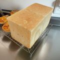 パンダパン405's cooksnap of when they made レトルトお粥でもっちり食パン♪.