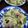 ひっこ's cooksnap of when they made ベーコンといんげんの和風パスタ.