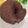 コロナで料理始めた人's cooksnap of when they made 白神こだま酵母でココアベーグル.