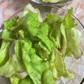 うめもり♪'s cooksnap of when they made ボールだけ！混ぜるだけ簡単！レタスサラダ.