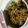 クック981L9V☆'s cooksnap of when they made 青唐辛子とじゃこの甘辛炒め煮.
