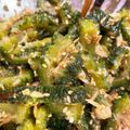 あっぱれ！！'s cooksnap of when they made ゴーヤとツナのナムル風.