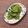 しゅい6's cooksnap of when they made ゴーヤの胡麻和え.