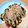 Re:Re's cooksnap of when they made 簡単カクたこ☆（しかくいたこ焼き）.