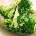 毎日おかあちゃん's cooksnap of when they made 箸が止まらない☆絶品おかかブロッコリー.