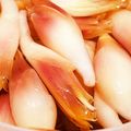 なとか's cooksnap of when they made ミョウガの甘酢漬け.