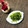 Laufen's cooksnap of when they made 祖母の味＊ほうれん草のごま和え.