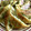 pali's cooksnap of when they made ヒルナンデスの餃子（覚書）.