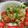 クック5JVRUQ☆'s cooksnap of when they made 豚トマトカレーオガタ素麺.