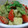 hi—co's cooksnap of when they made ジャガイモとトマトのジェノベーゼソース.