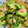 クック1CVYGG☆'s cooksnap of when they made ゴーヤとツナの和え物.