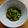 melmarilyn's cooksnap of when they made ゴーヤと塩昆布のポン酢漬け.