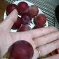 ひっこ's cooksnap of when they made ★ぶどう♡長持ちさせる保存方法.