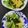 かわいい星優のママ's cooksnap of when they made チンゲン菜と卵の炒め物.