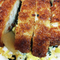 しーくれっと・らいふ's cooksnap of when they made あとのせサクサクとじないカツ丼.
