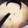 サンタJr's cooksnap of when they made 白菜と鮭のクリーム煮.