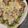 ｐｅｋｏmama's cooksnap of when they made アボカドベーコンのピザ.