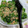 mao.'s cooksnap of when they made つるむらさきと納豆の梅和え.