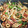 こばっく0583's cooksnap of when they made もやﾋﾟｨ★ちくわ炒め.