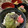 食べ過ぎ野郎's cooksnap of when they made すりおろしオクラ丼＠柚子胡椒風味.